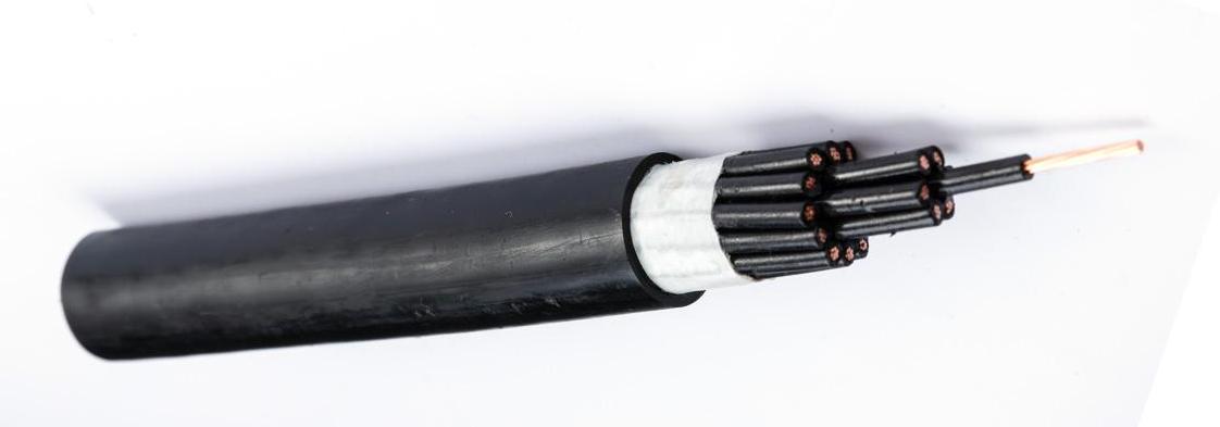 450/750V Copper Coductor PVC Insulated and sheathed Flexible Control Cable